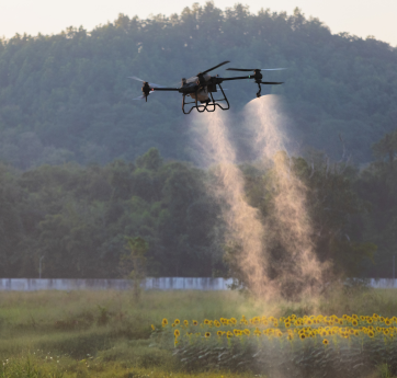 Spraying agricultural land with a DJI Agras T50 drone